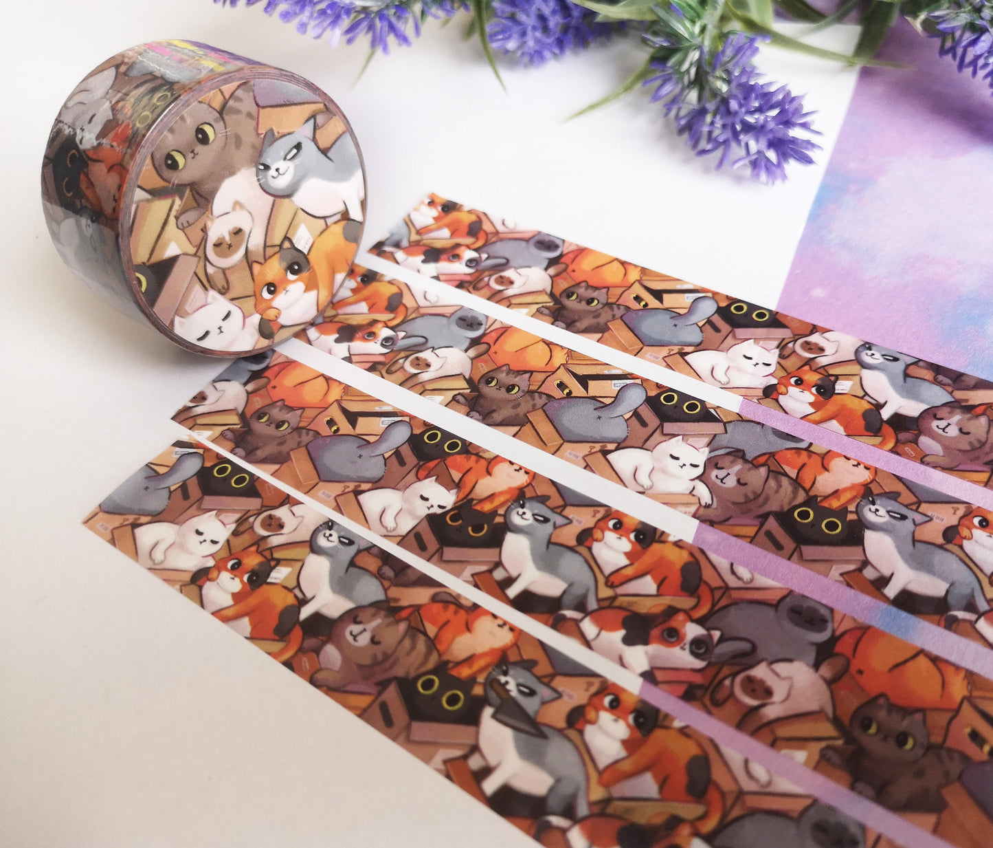 Cute cat in box if fits I sit- Washi Tape - 2cmx1000cm
