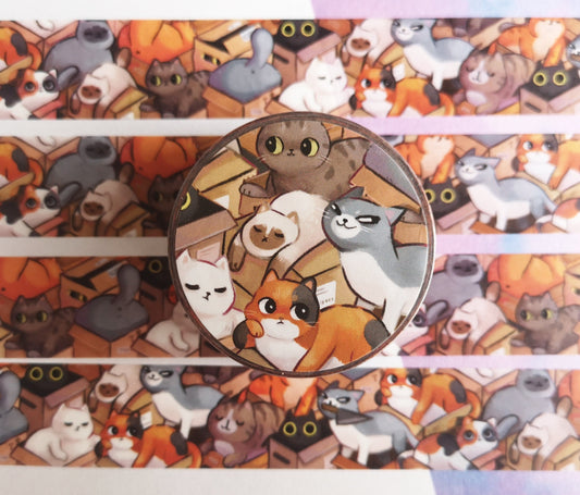 Cute cat in box if fits I sit- Washi Tape - 2cmx1000cm