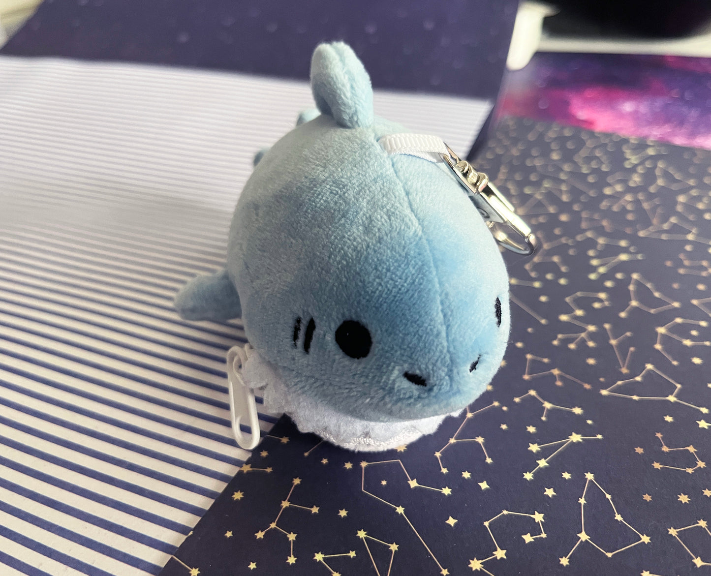 shark coin purse